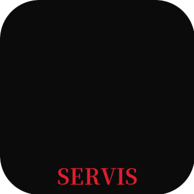 Servis Biznesi (Shembull)